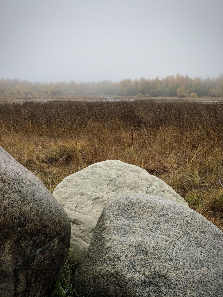 Kuva Hiastinhaaran luontopolulta